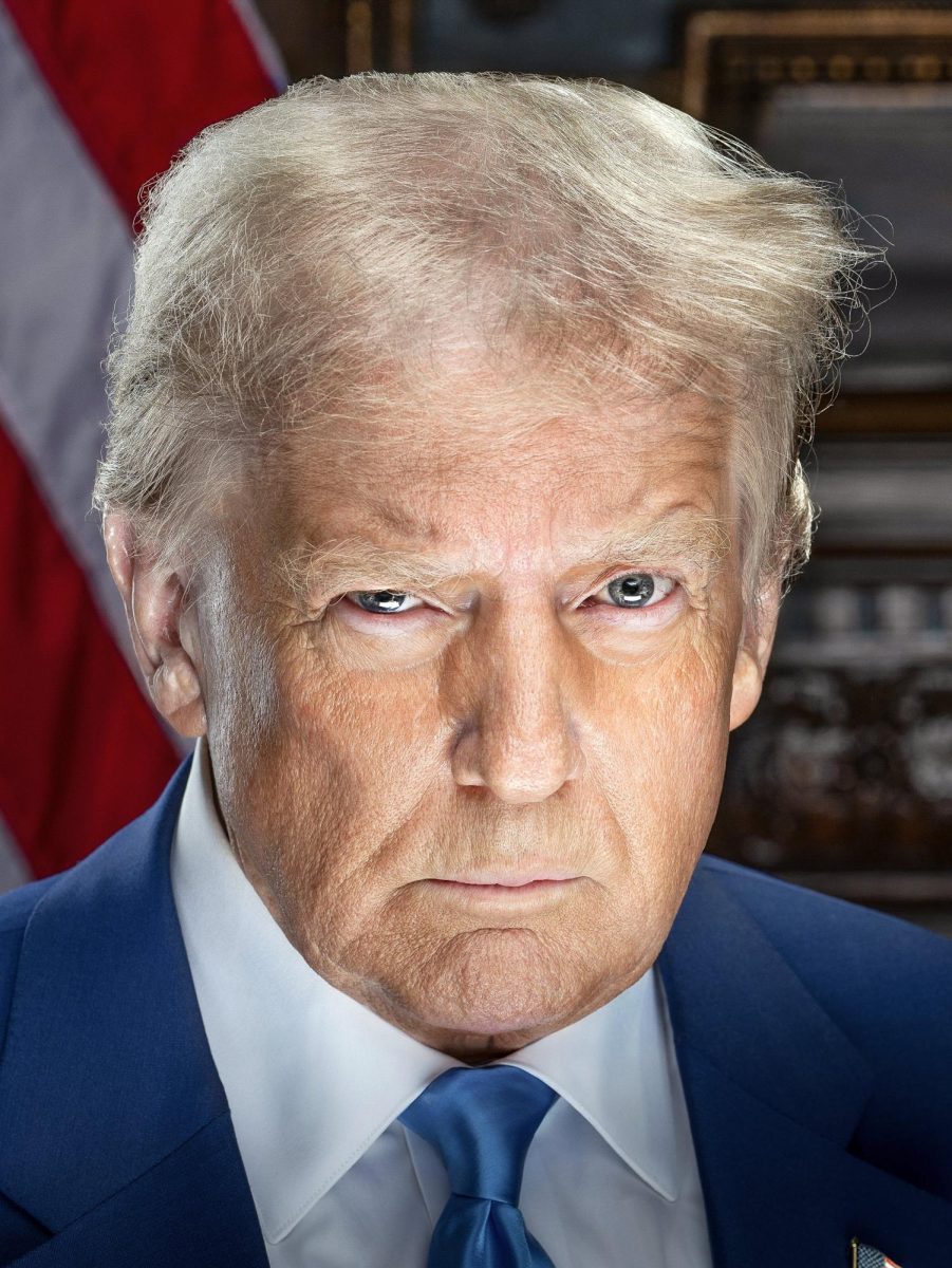 Daniel Torok, Public domain, via Wikimedia Commons
https://commons.wikimedia.org/wiki/File:Donald_Trump_2025_inaugural_portrait_(3x4_close_cropped).jpg
