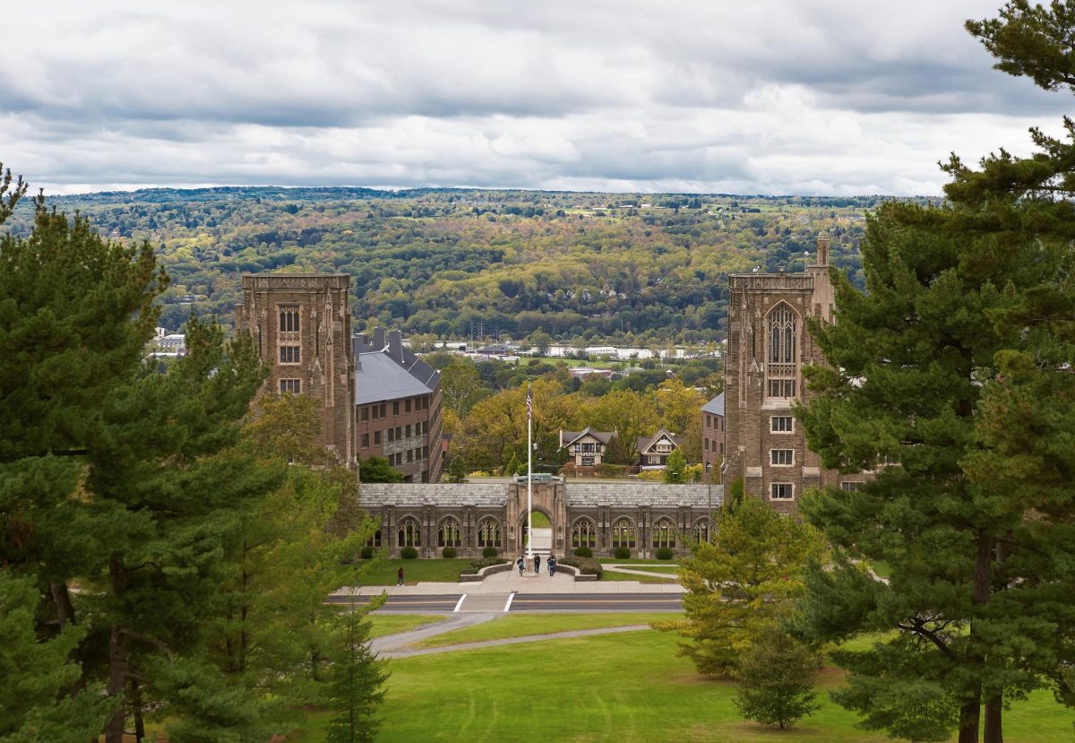 "Axel Tschentscher", CC BY-SA 4.0 , via Wikimedia Commons
https://commons.wikimedia.org/wiki/File:Cornell_University_McFaddin_Hall_and_Lyon_Hall_2019-10-04_22-39.jpg